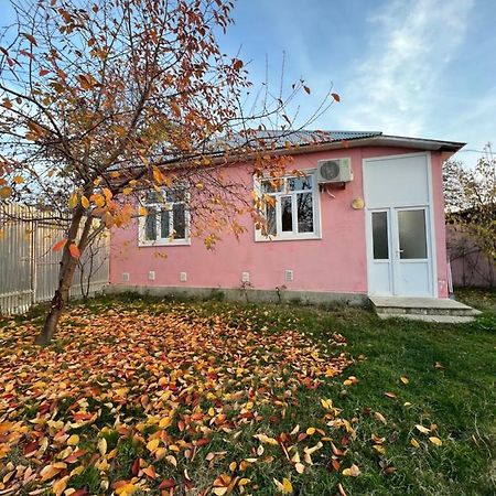 Qafqaz Resort Family House Gabala Exterior photo