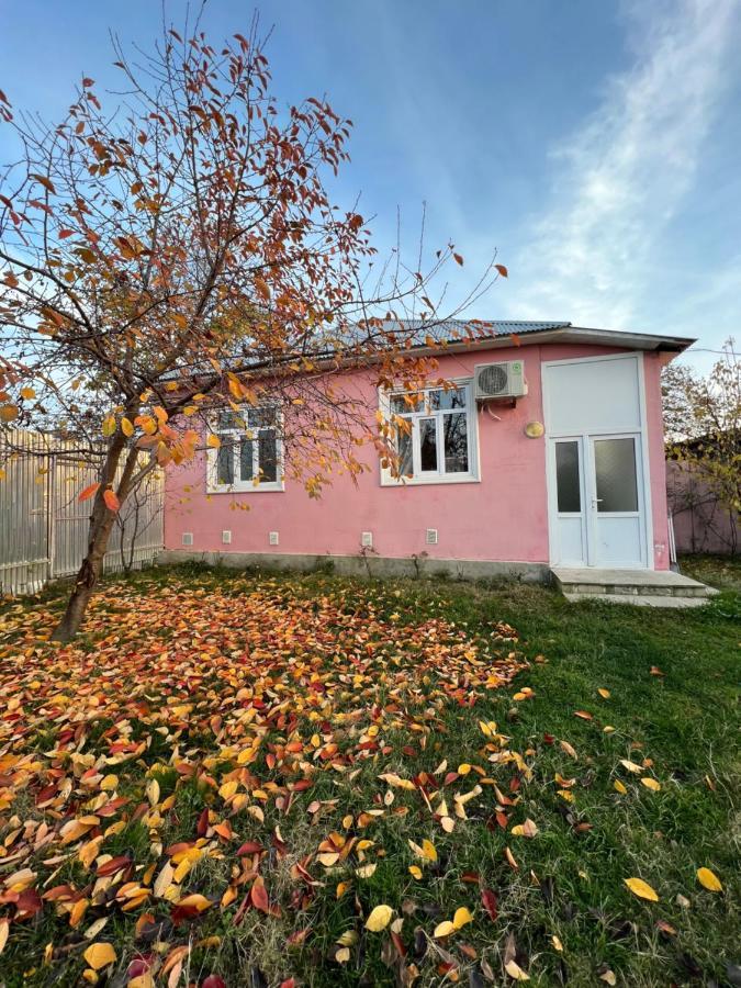 Qafqaz Resort Family House Gabala Exterior photo